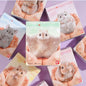 Bandai Namco Mofumofu Tenori figure collectible series Blind Box
