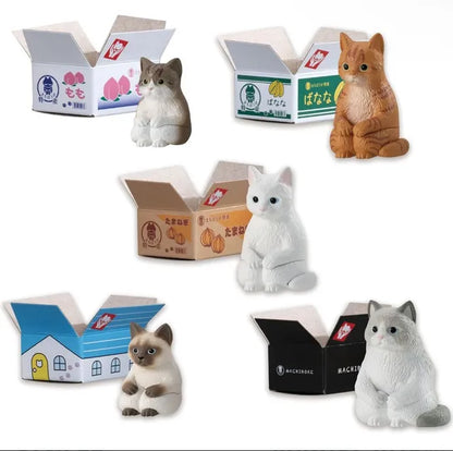 Machiboke Still Waiting Cat in a Box Blind Mini-Figure