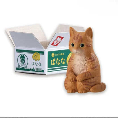 Machiboke Still Waiting Cat in a Box Blind Mini-Figure